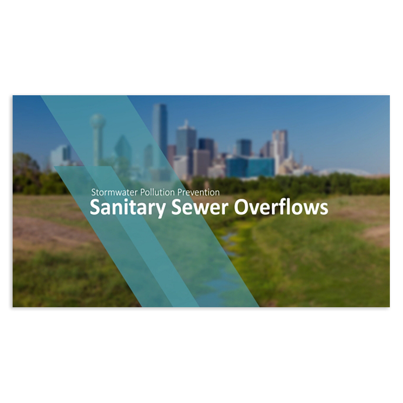 Sanitary Sewer Overflows